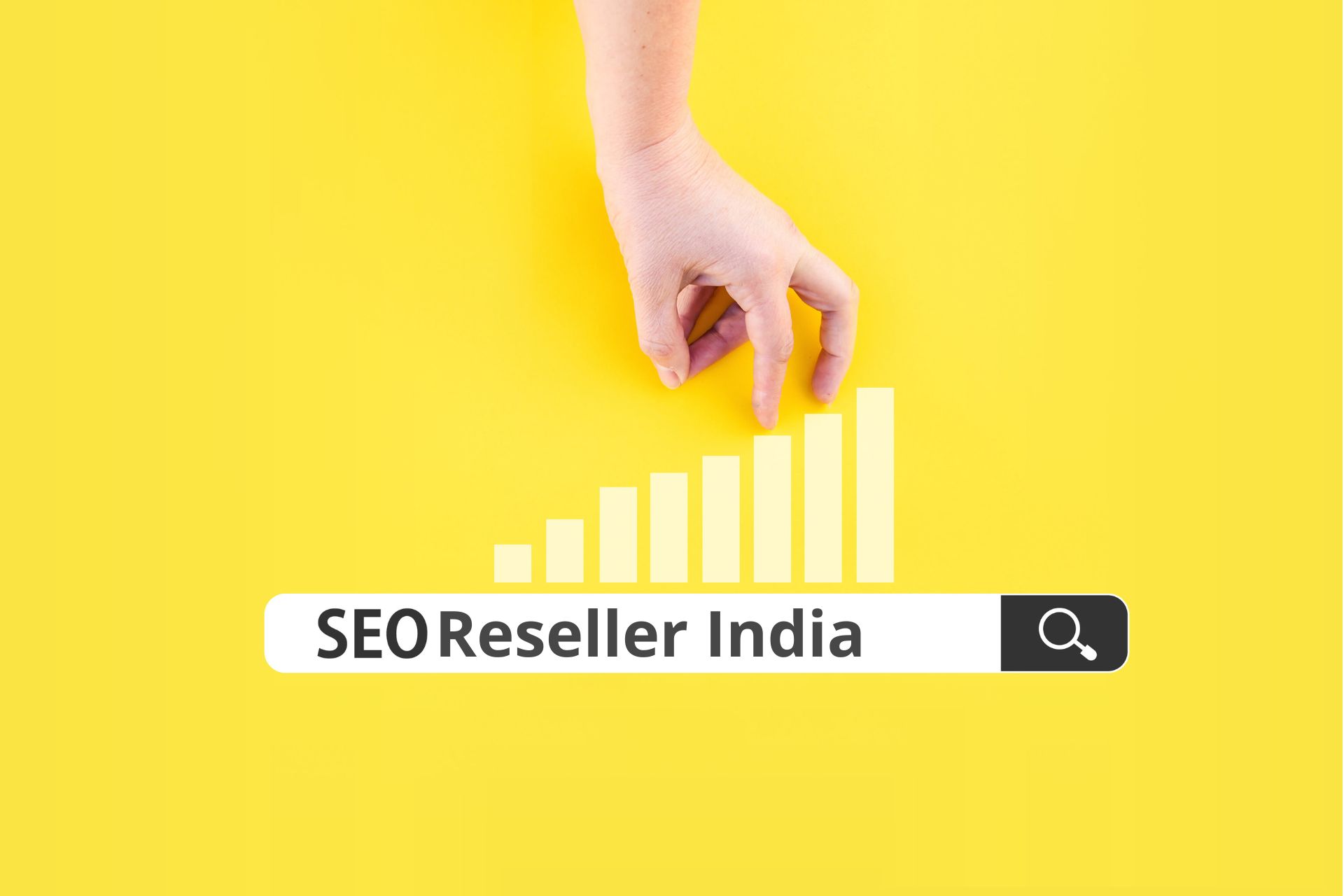 SEO Reseller India